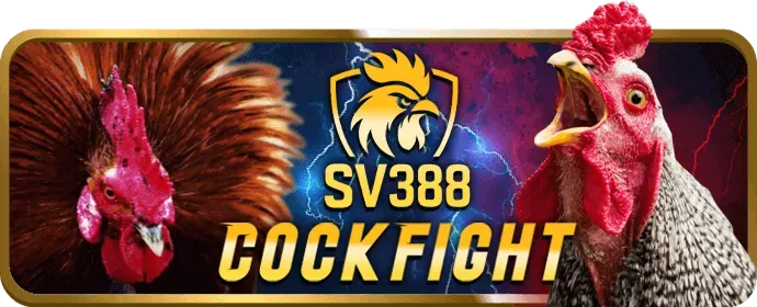 Các biện pháp bảo vệ dữ liệu của shbet tải app