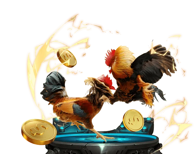 Hình ảnh minh họa các bước đăng nhập vào tài khoản cá cược